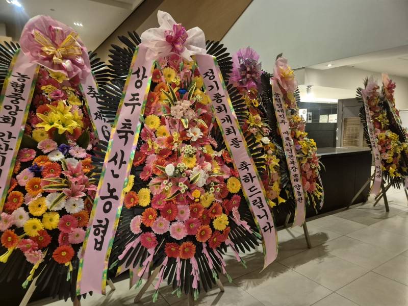업로드 이미지