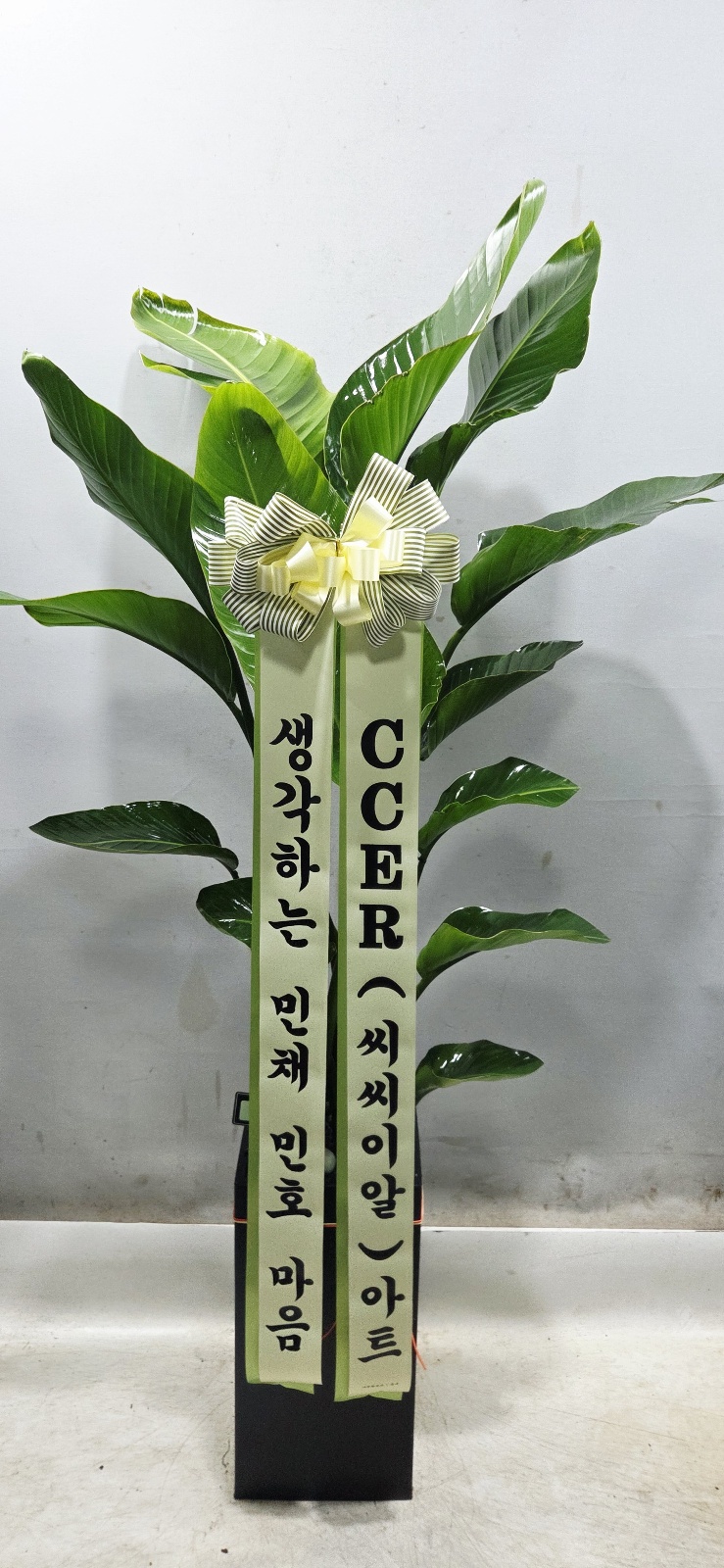 업로드 이미지