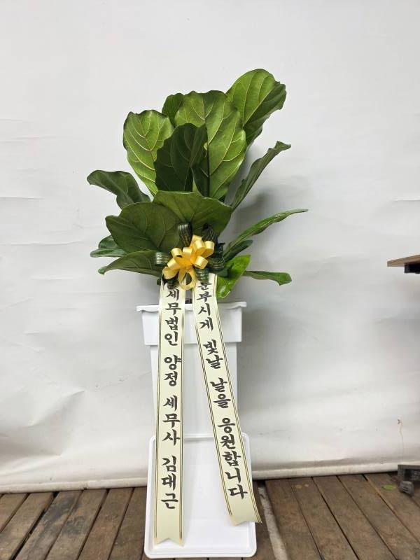 업로드 이미지