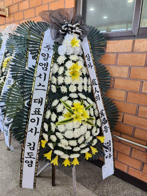업로드 이미지