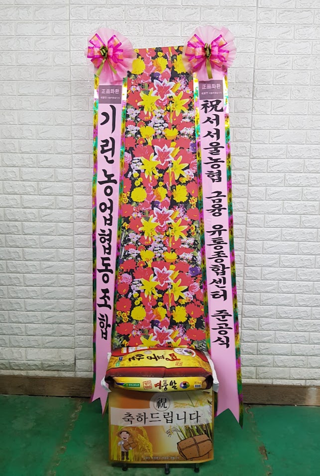 업로드 이미지