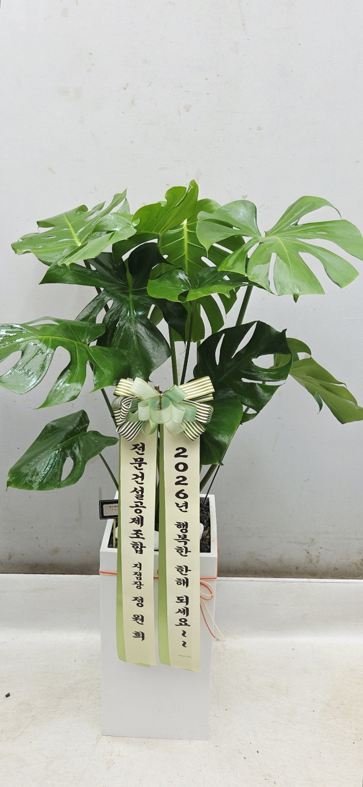 업로드 이미지