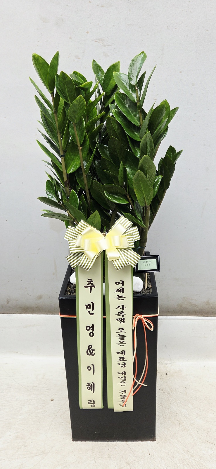 업로드 이미지