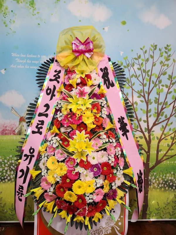 업로드 이미지