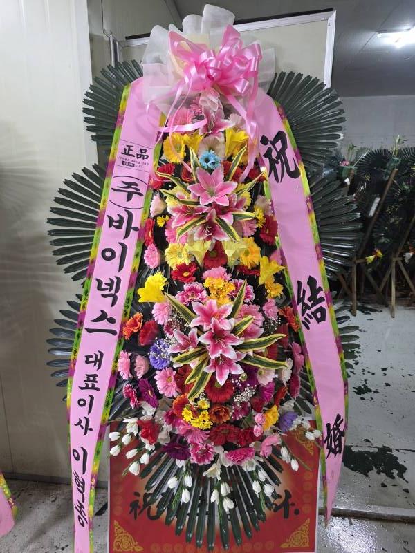 업로드 이미지