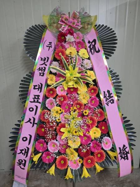 업로드 이미지
