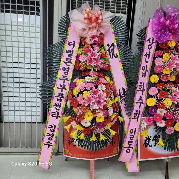 업로드 이미지