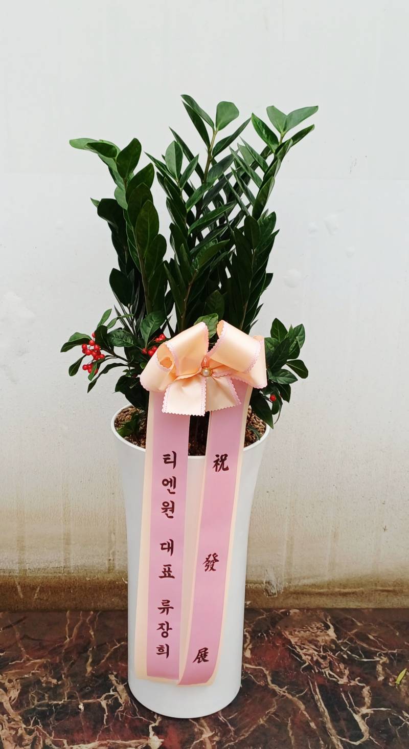 업로드 이미지