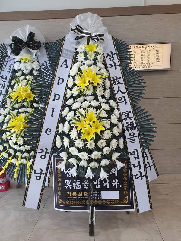 업로드 이미지