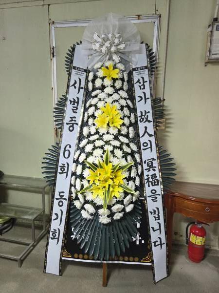 업로드 이미지
