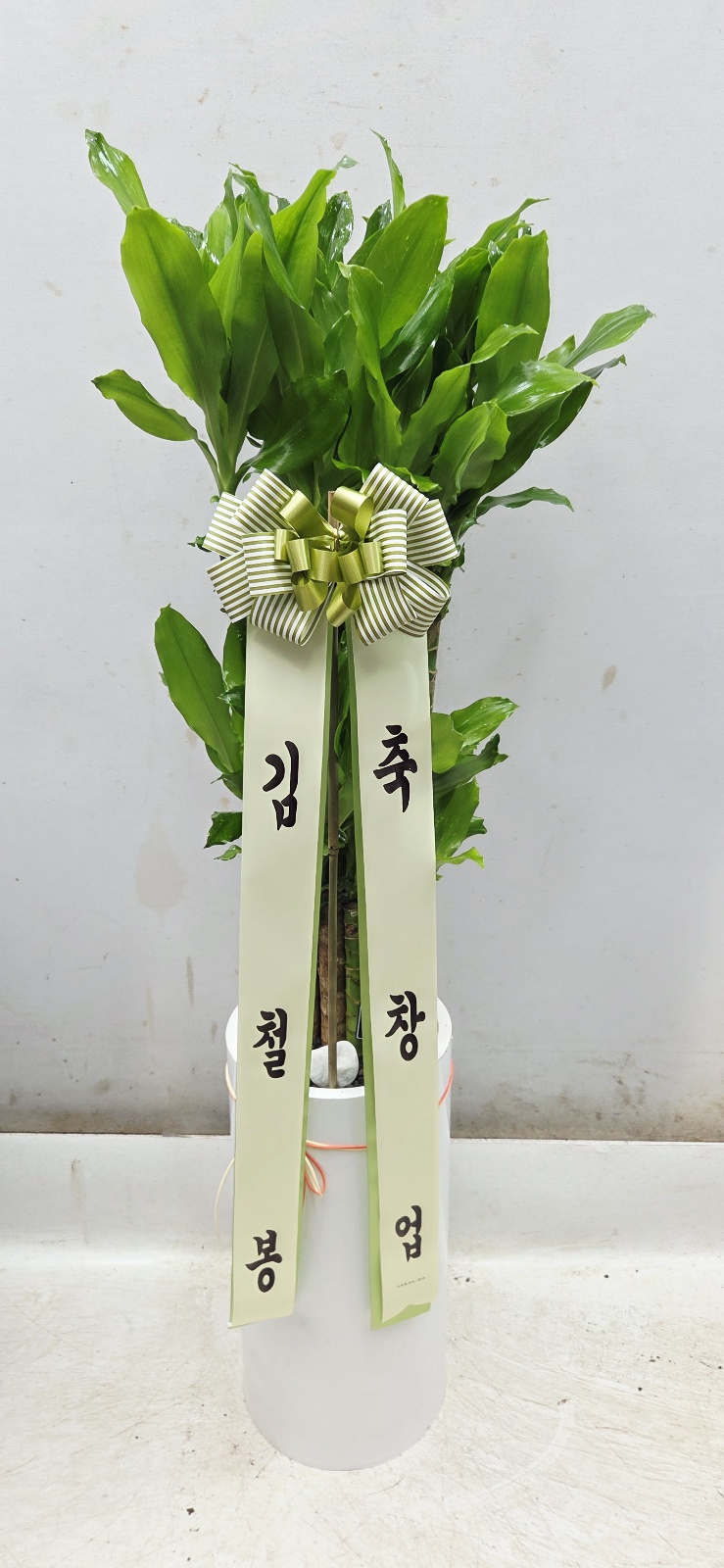 업로드 이미지