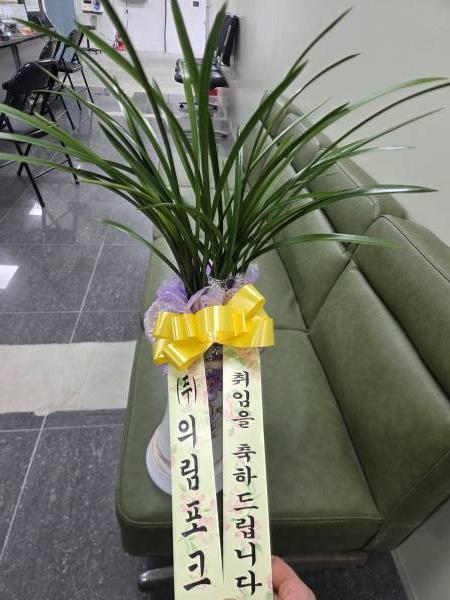 업로드 이미지