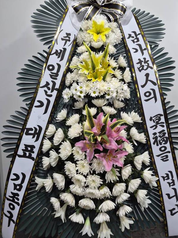 업로드 이미지