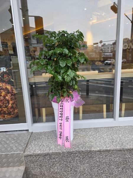 업로드 이미지
