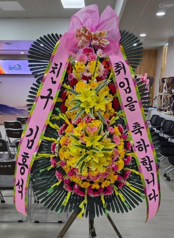 업로드 이미지