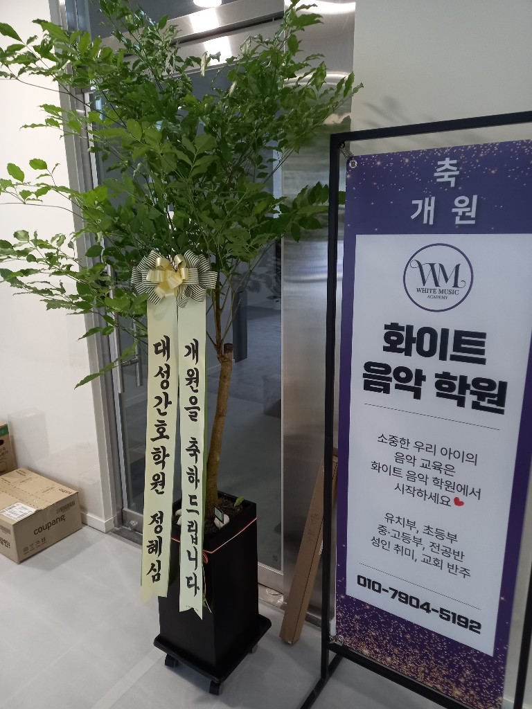 업로드 이미지