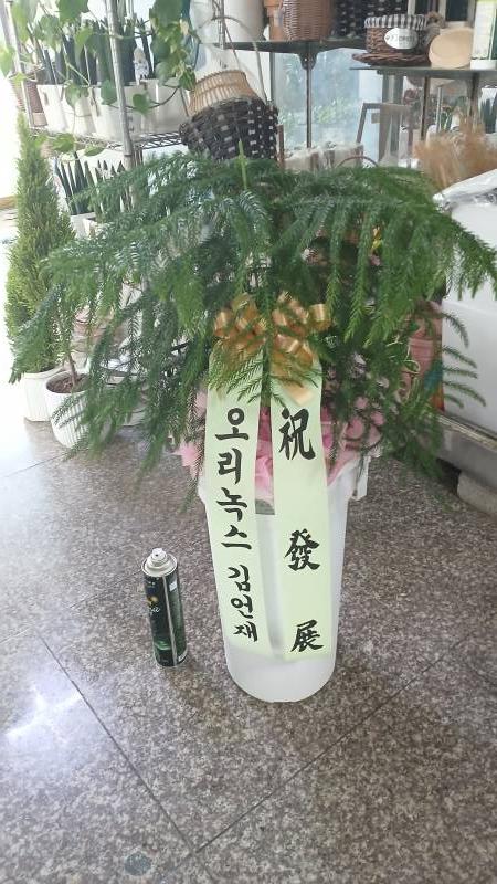 업로드 이미지