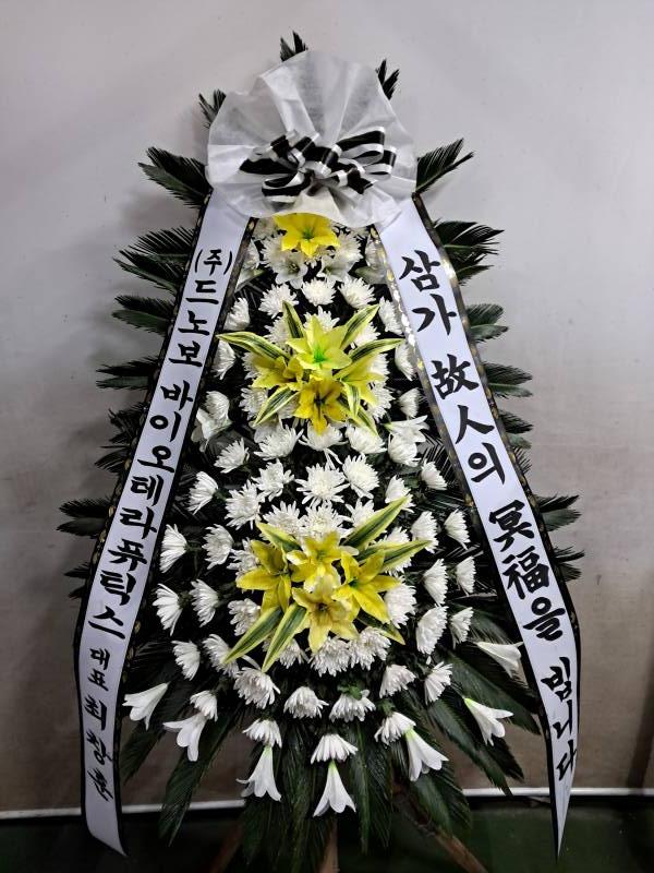 업로드 이미지