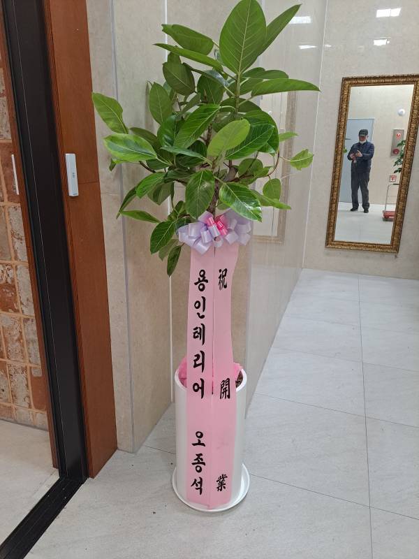 업로드 이미지