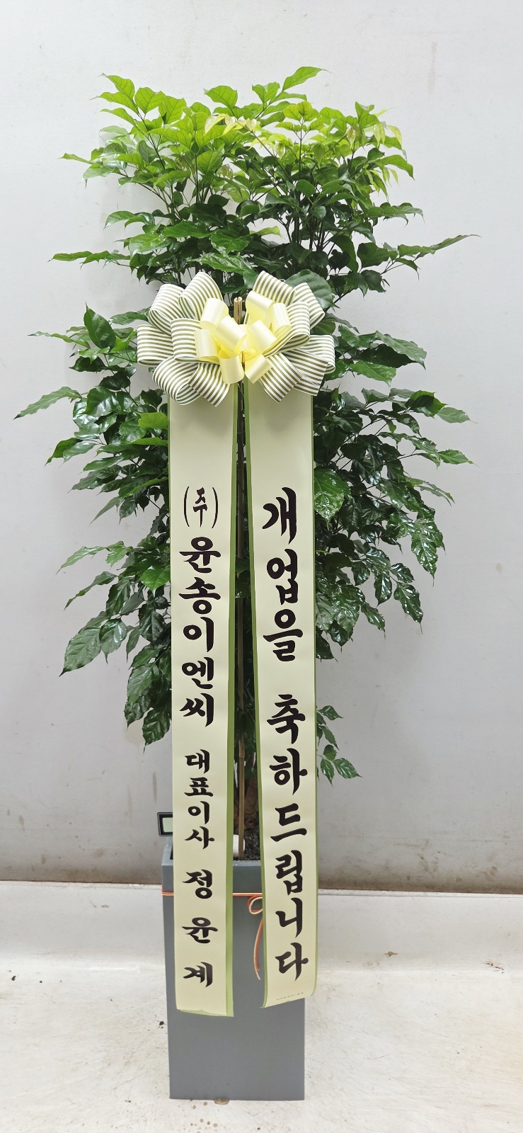 업로드 이미지
