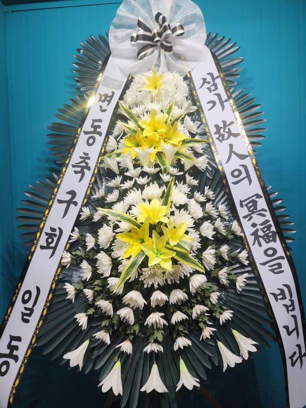 업로드 이미지