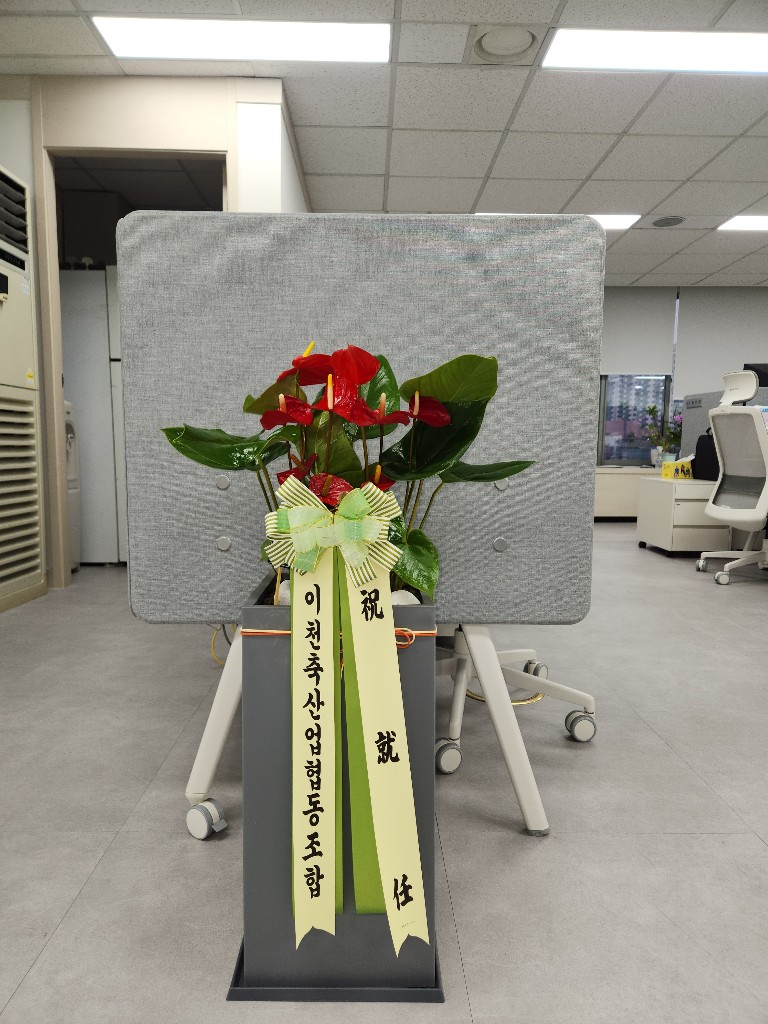 업로드 이미지