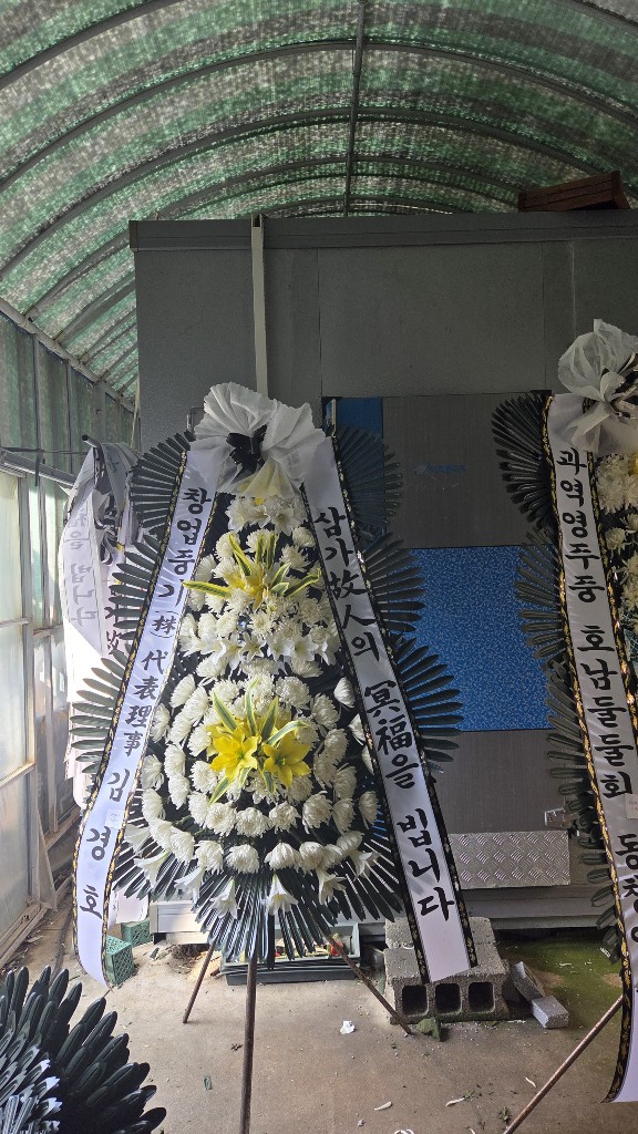 업로드 이미지
