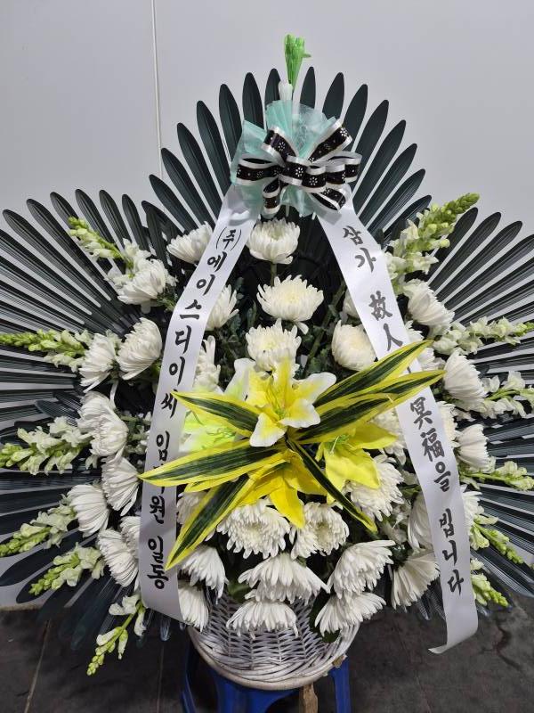 업로드 이미지