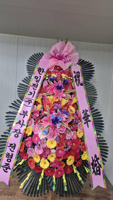 업로드 이미지