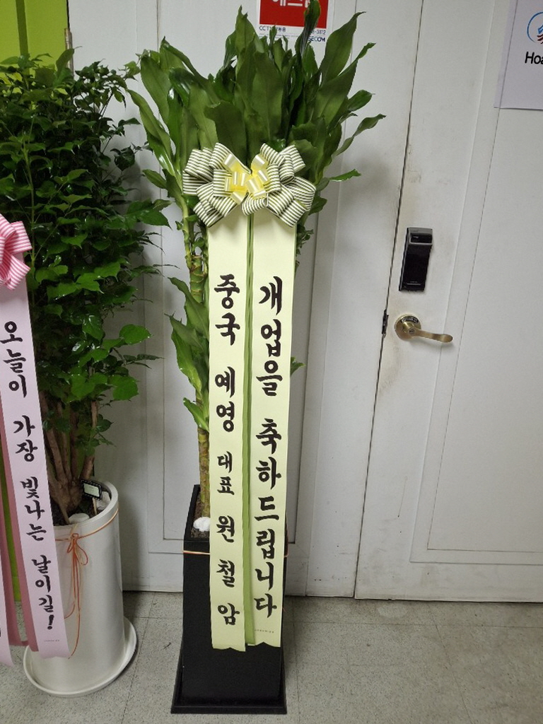 업로드 이미지