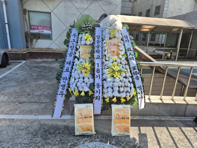 업로드 이미지