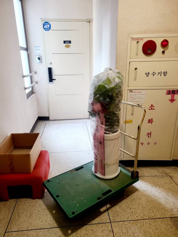 업로드 이미지
