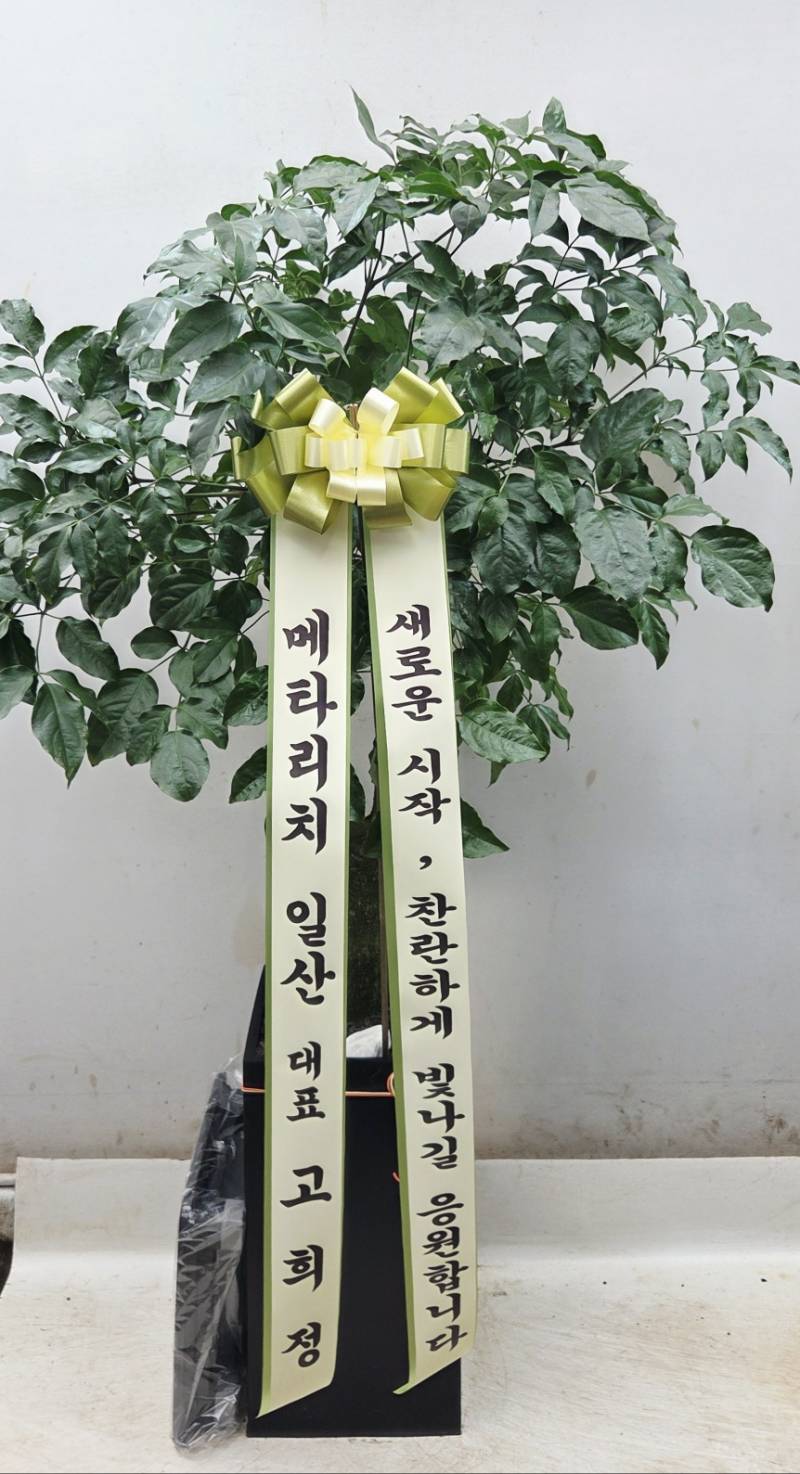 업로드 이미지