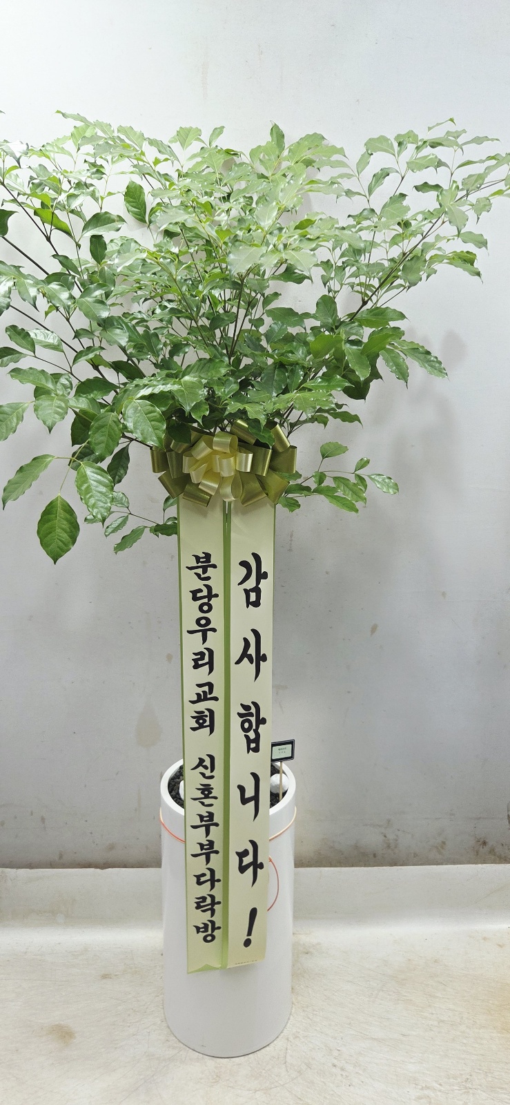 업로드 이미지