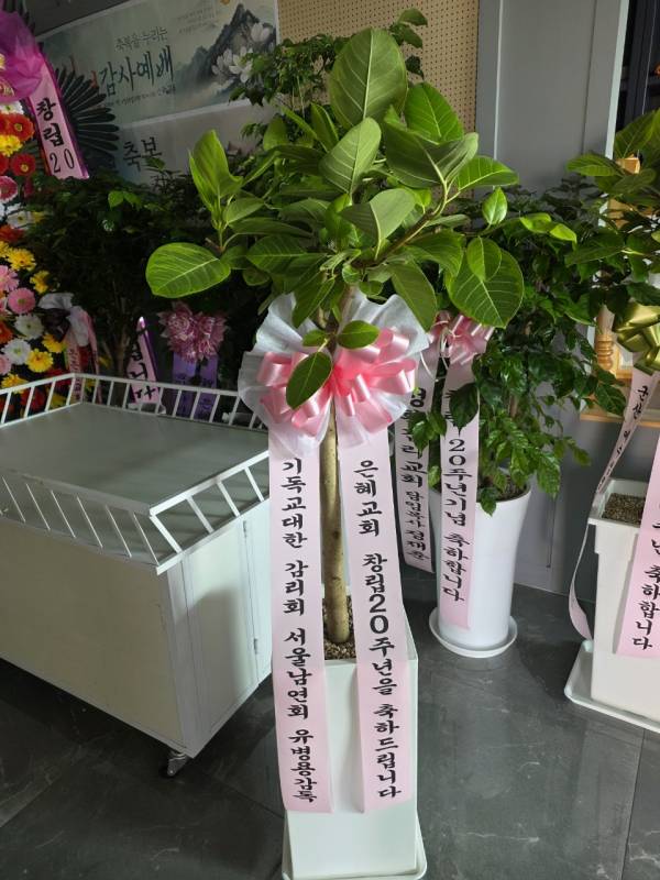 업로드 이미지