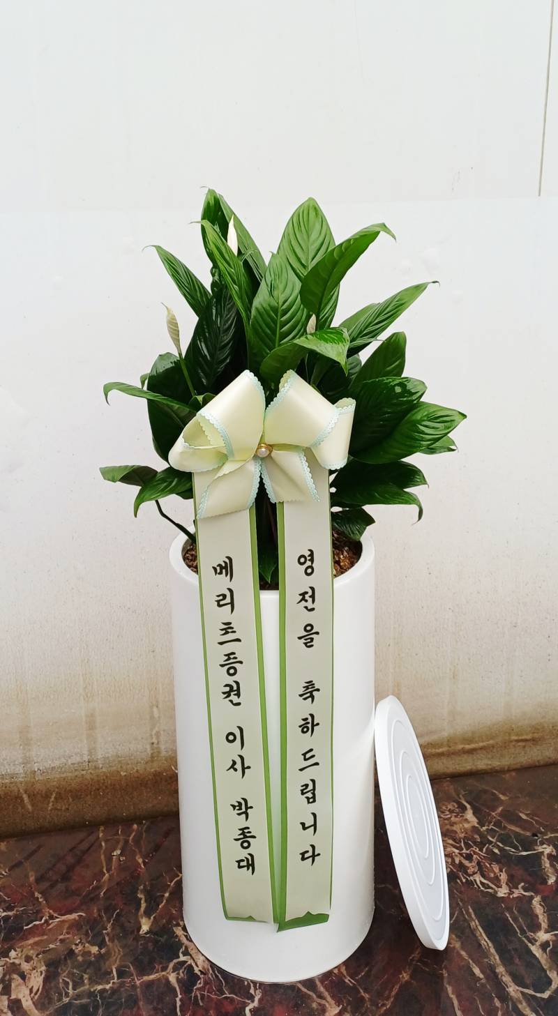 업로드 이미지