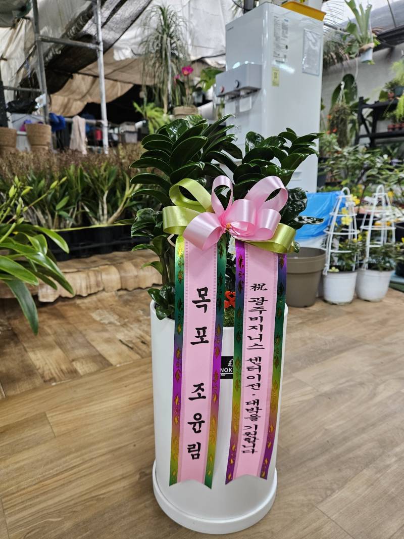 업로드 이미지
