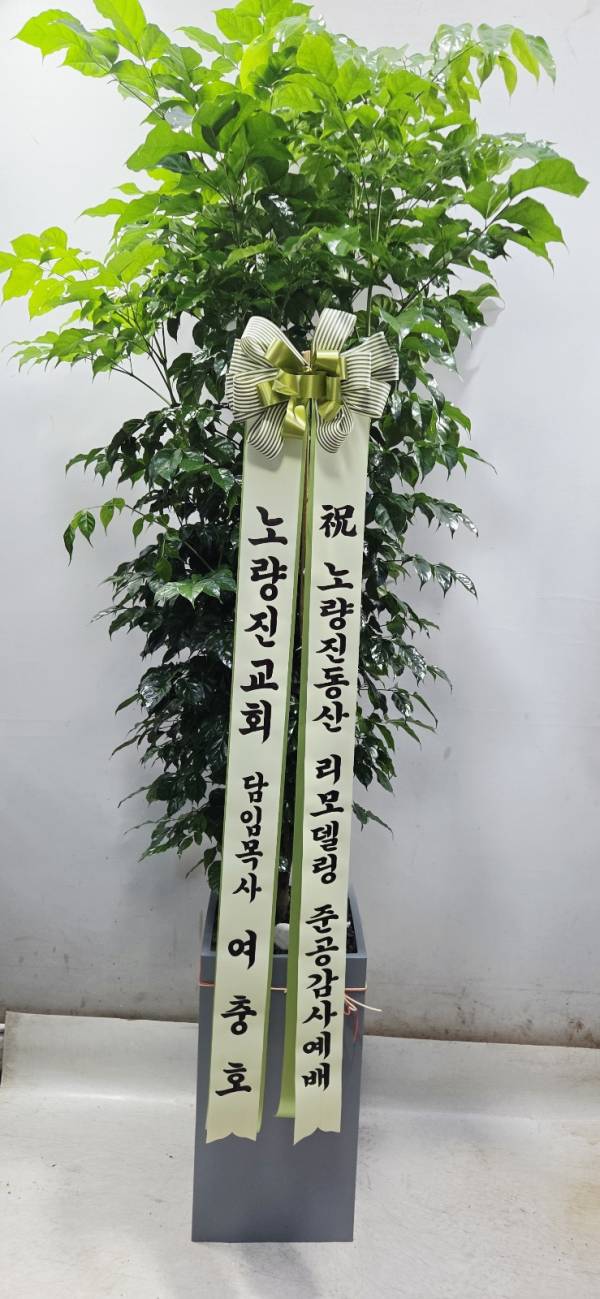 업로드 이미지