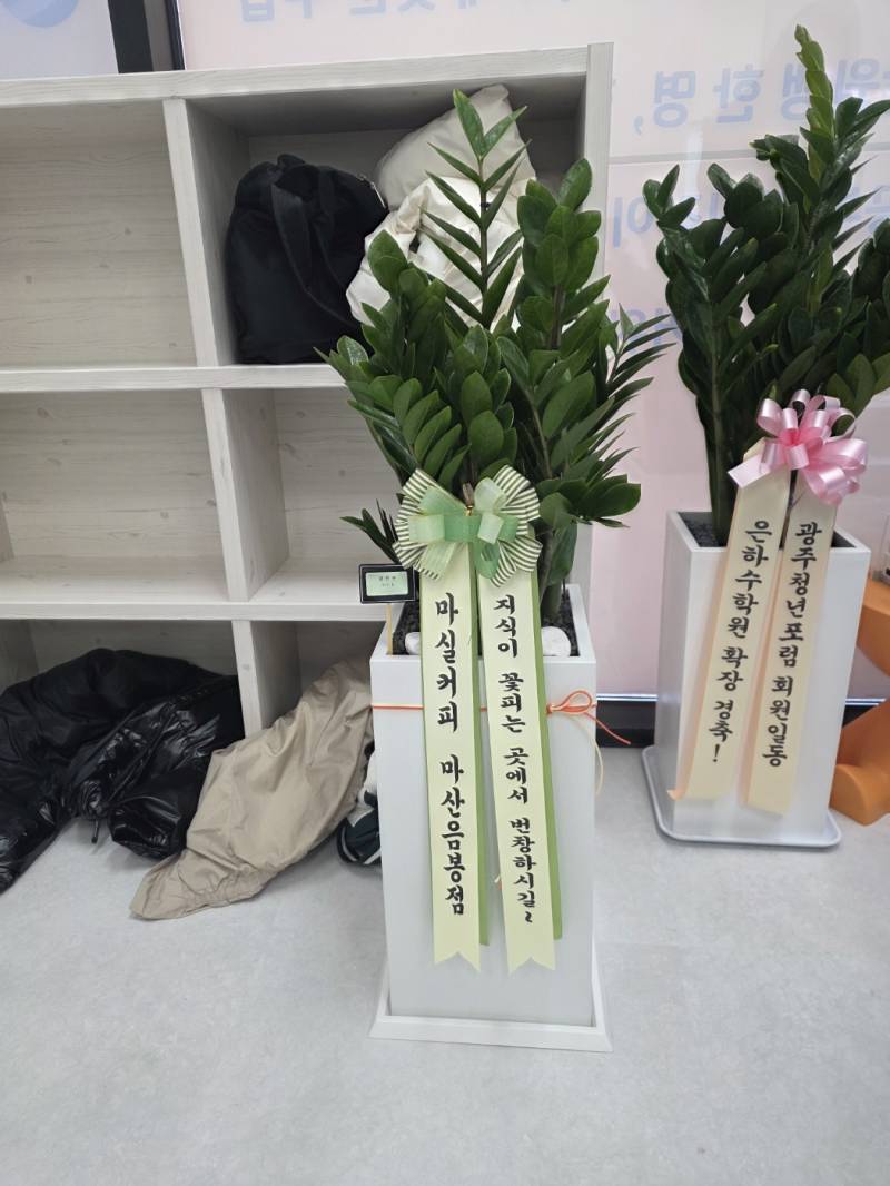 업로드 이미지