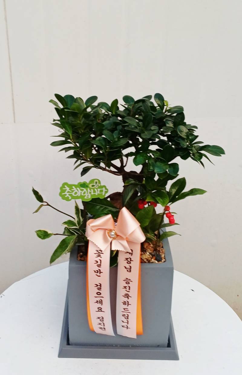 업로드 이미지