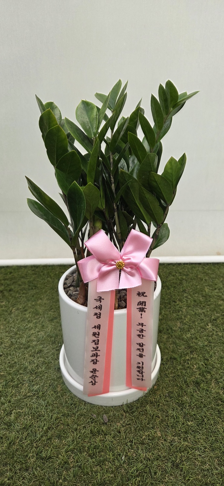 업로드 이미지