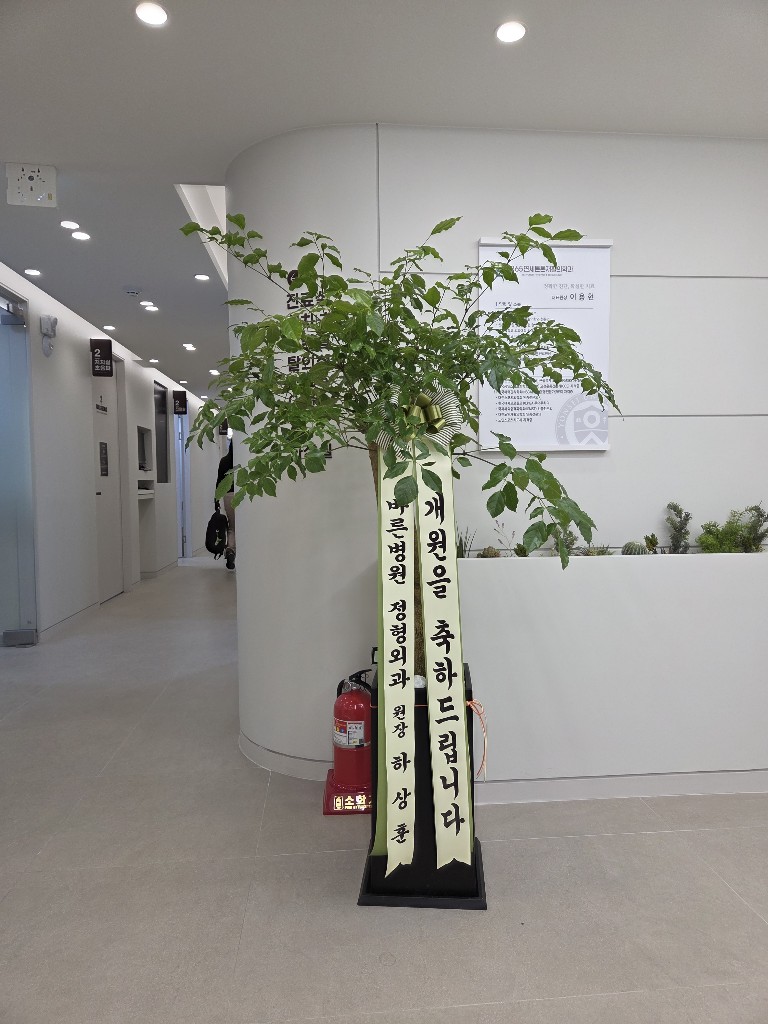 업로드 이미지
