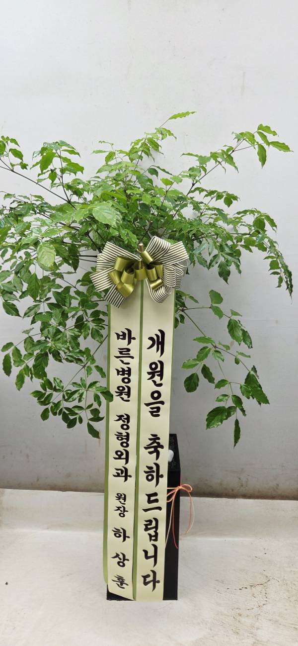 업로드 이미지