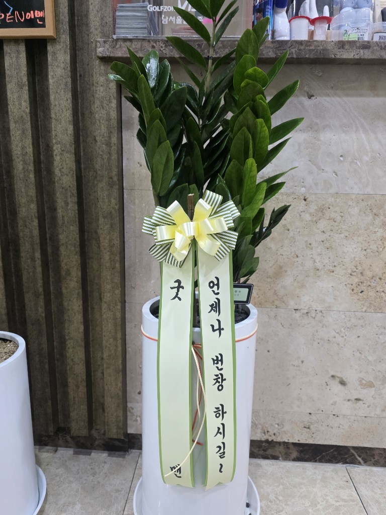 업로드 이미지