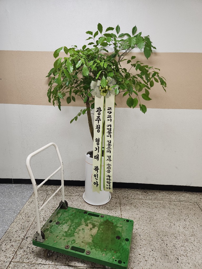업로드 이미지