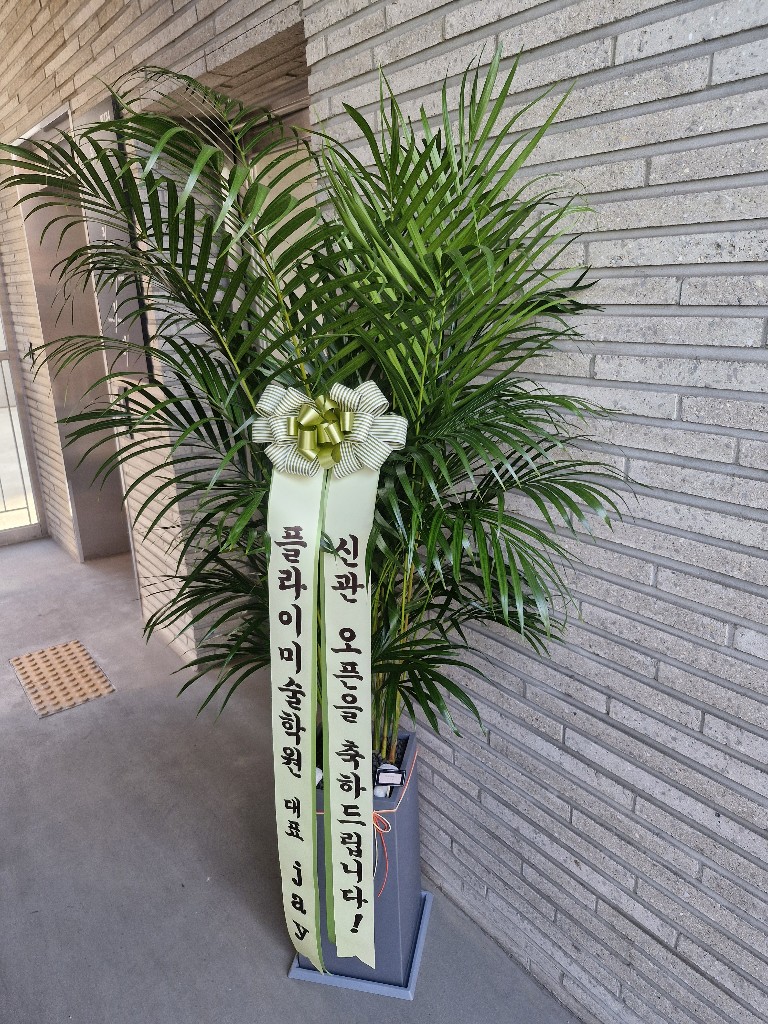 업로드 이미지