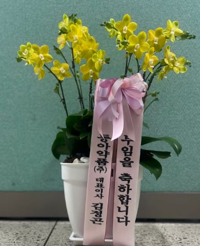 업로드 이미지