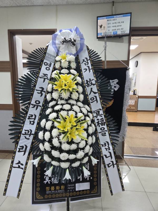 업로드 이미지