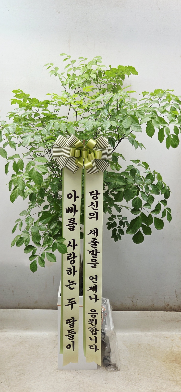 업로드 이미지