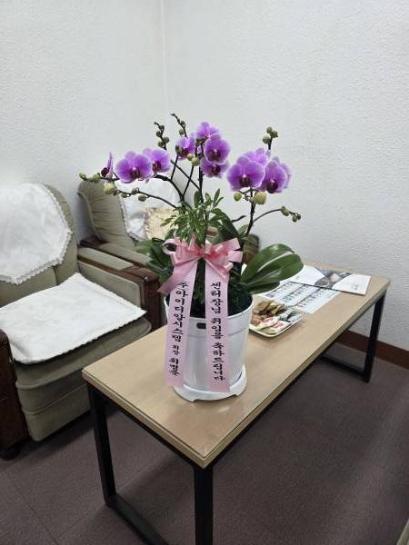 업로드 이미지